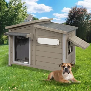 Weatherproof Dog Houses