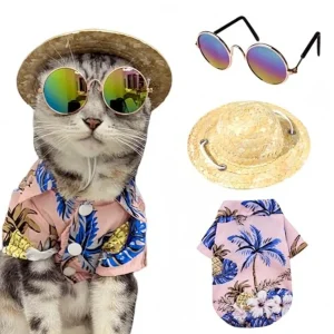 Hawaiian Costume Pet Cat