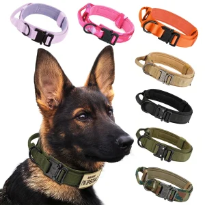 Dog Training Collar