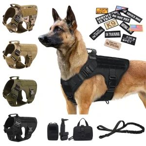 Large Dog Harness Collar Leash