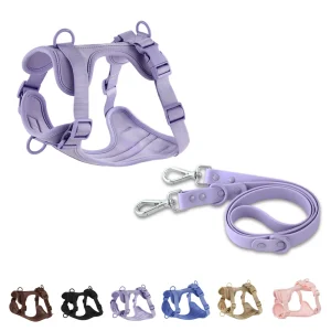 breathable Dog Harness and leash set