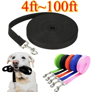 4ft Nylon Dog Leash