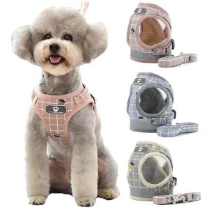 Nylon Puppy Harness Vest with Leash