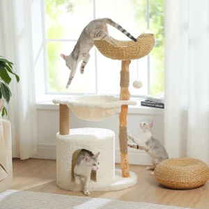 S4b98326faa8f45798179fd4c9e2a287a4.webp