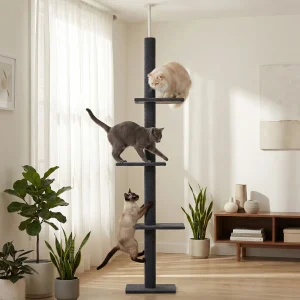 Floor to Ceiling Cat Tower for Indoor Adjustable Height
